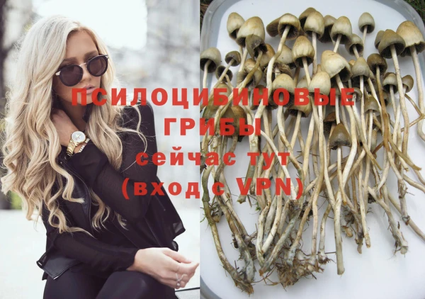 прущие крисы Алексеевка