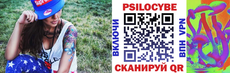 Галлюциногенные грибы мухоморы  цена наркотик  Новая Ладога 